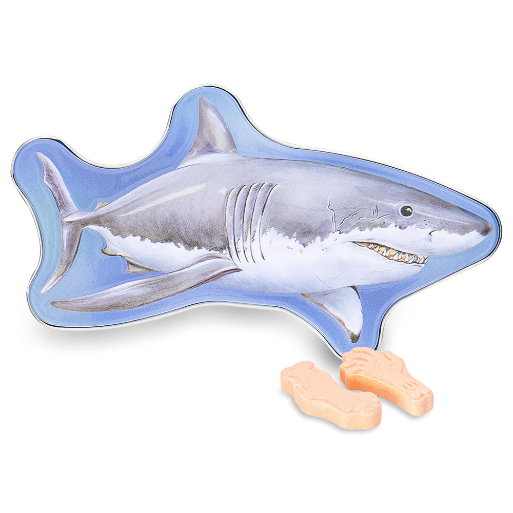 Boston America Maneater Shark Bait Candy Tin