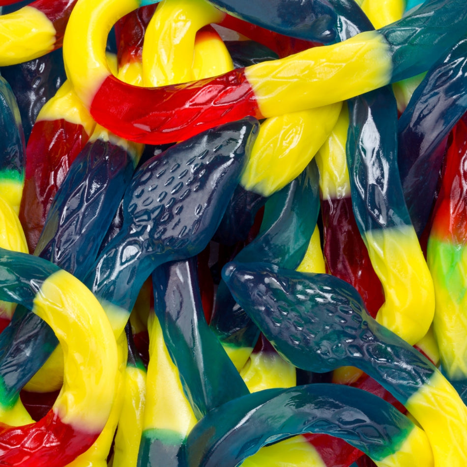 Albanese Rattle Snakes - 20lbs - Gummy Candy - Gummies - Bulk Candy - Party Favours - Snake Gummy