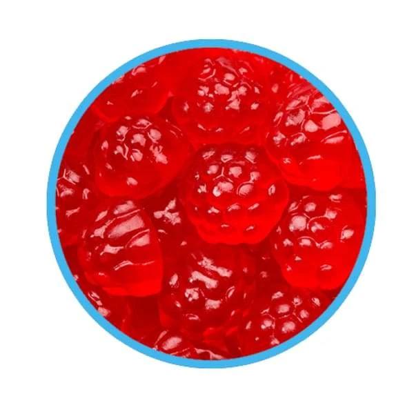 Ruby Red Mini Berries Gummy Candy Canada Candy Co. - Bulk Colour_Red Gummy Halal Kosher