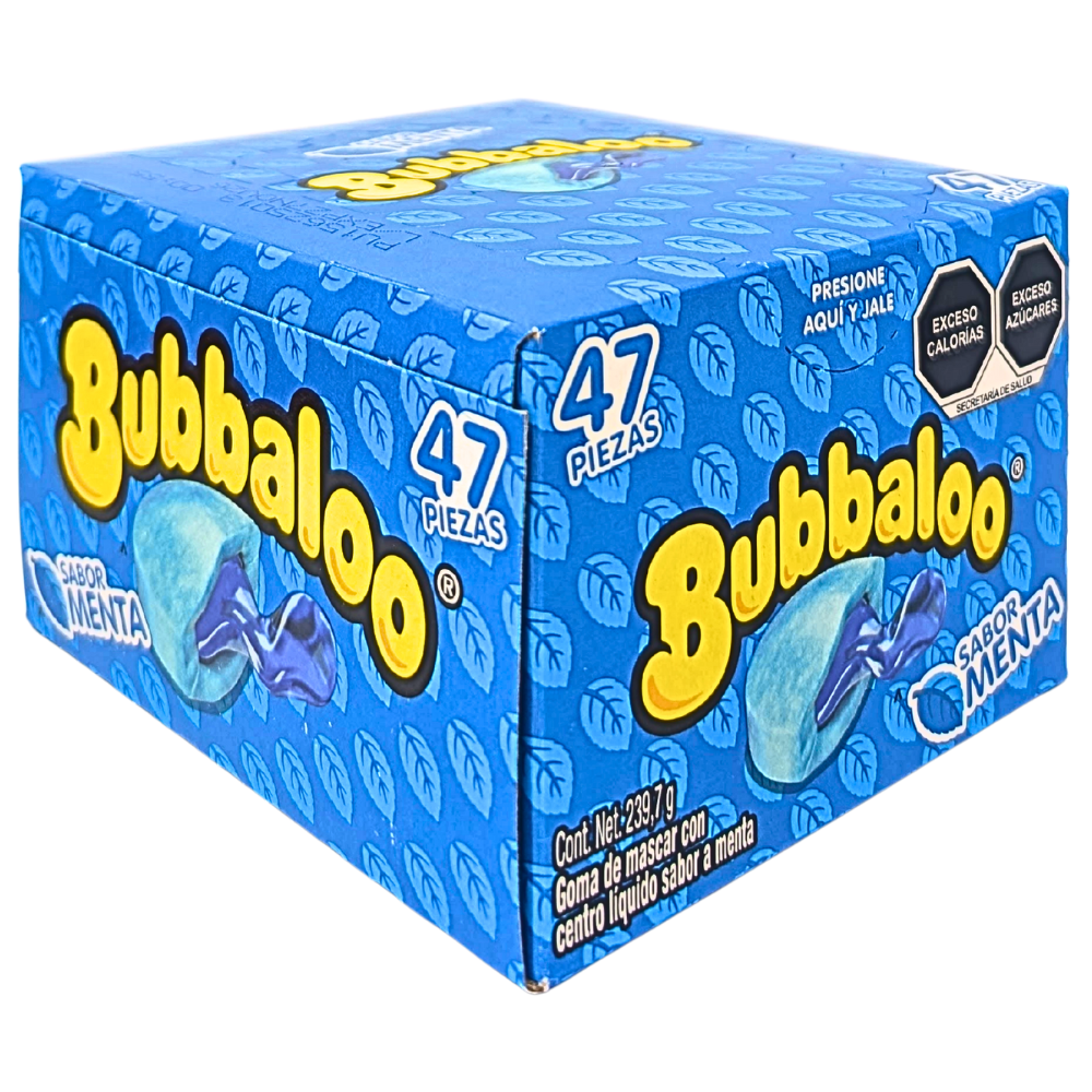 Bubbaloo Liquid Filled Bubblegum Mint - 239.7g