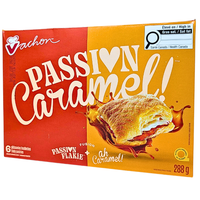 Vachon Passion Caramel - 288g