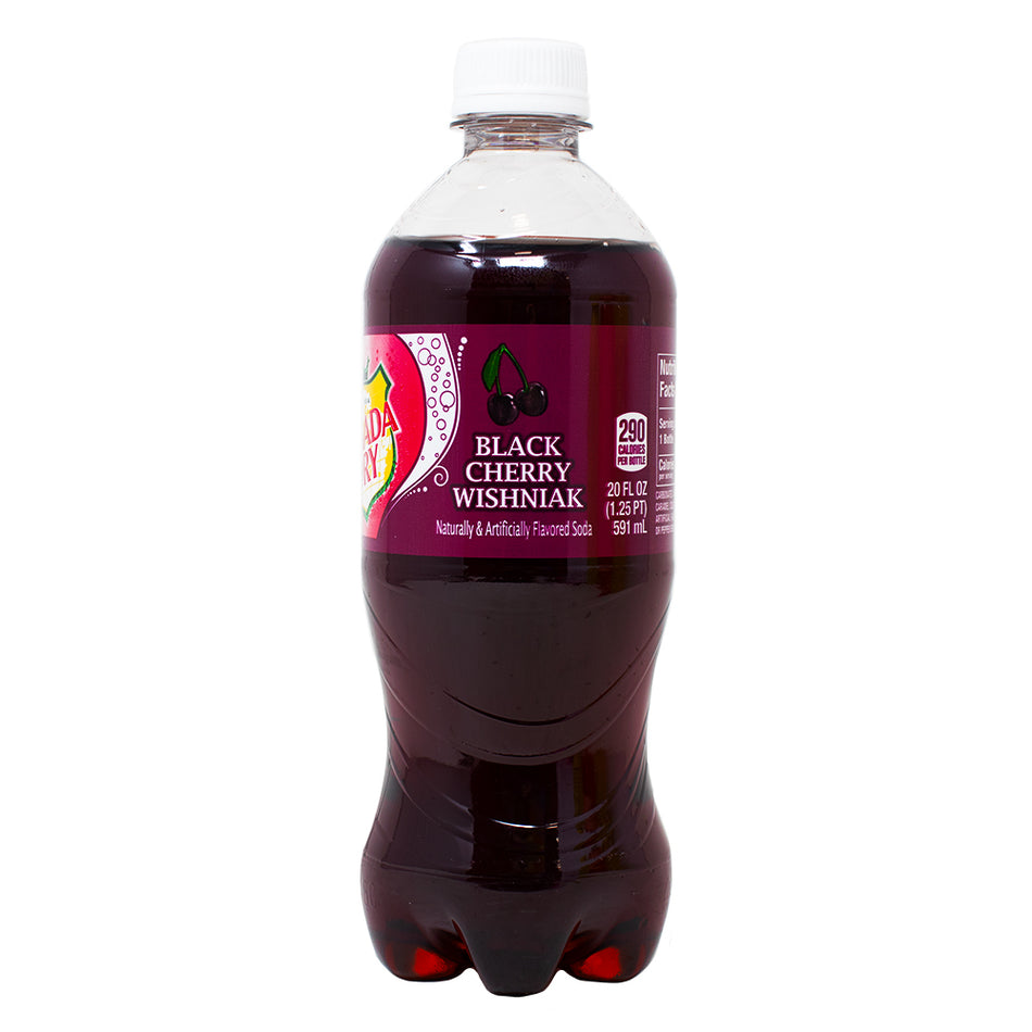 Canada Dry Black Cherry Ginger Ale - 591mL - Black Cherry Ginger Ale - Fizzy Fusion - Canada Dry - Sparkling Symphony - Refreshment Game - Elegance and Excitement - Succulent Black Cherry - Ginger Spice - Taste Adventure - Sophisticated Soiree - Canada Dry Black Cherry - Ginger Ale