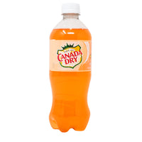Canada Dry Peach Ginger Ale - 591mL - Peach Ginger Ale - Fruity Fizz - Canada Dry - Sparkling Symphony - Refreshment Game - Juicy Peach - Ginger Zing - Taste Adventure - Summer Breeze - Flavour Explosion - Ginger Ale - Canada Dry Peach
