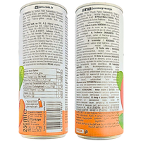 Juss Peach Nectar Drink (Turkey) - 250mL