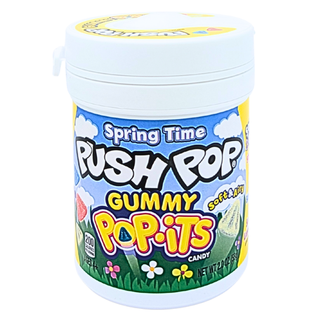 Spring Time Push Pop Gummy Pop-its - 2oz