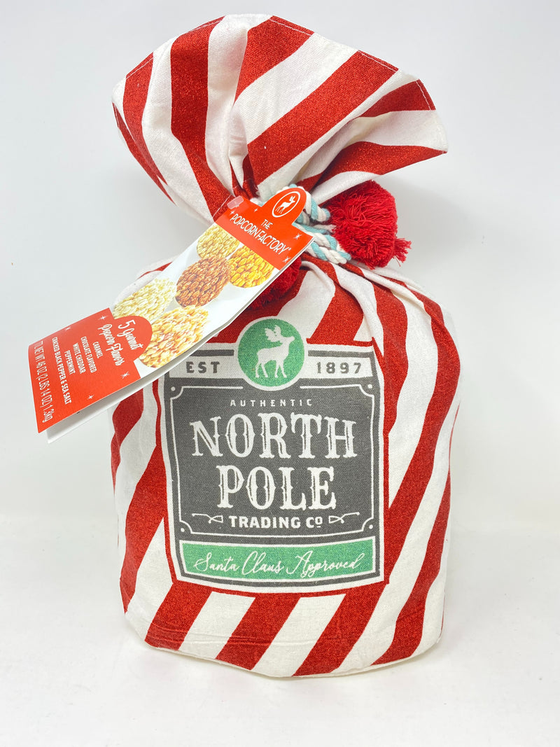 The Popcorn Factory Christmas Gift Bag assorted Gourmet Popcorn Holiday Treat red Basket