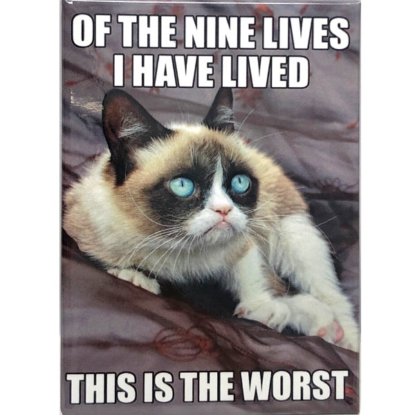Refrigerator Magnets - Funny/Grumpy Cats Funny Cat fridge magnet
