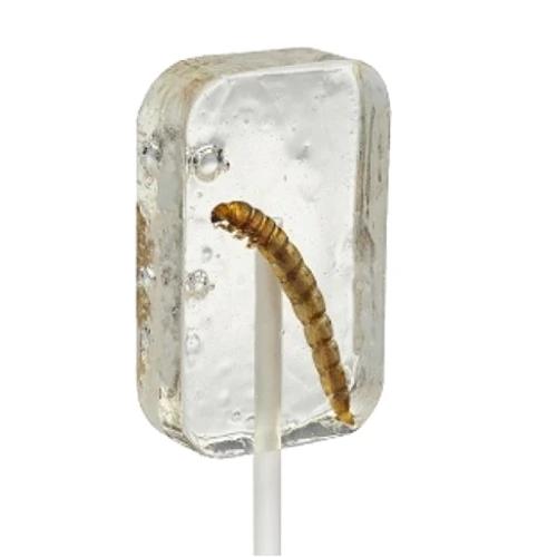 Hotlix Tequila Worm Sucker Insect Candy