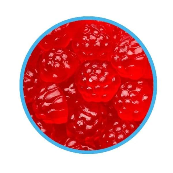 Ruby Red Mini Berries Gummy Candy Canada Candy Co. - Bulk Colour_Red Gummy Halal Kosher